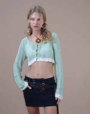 Aesha Cropped Cardigan in Sage Cream
