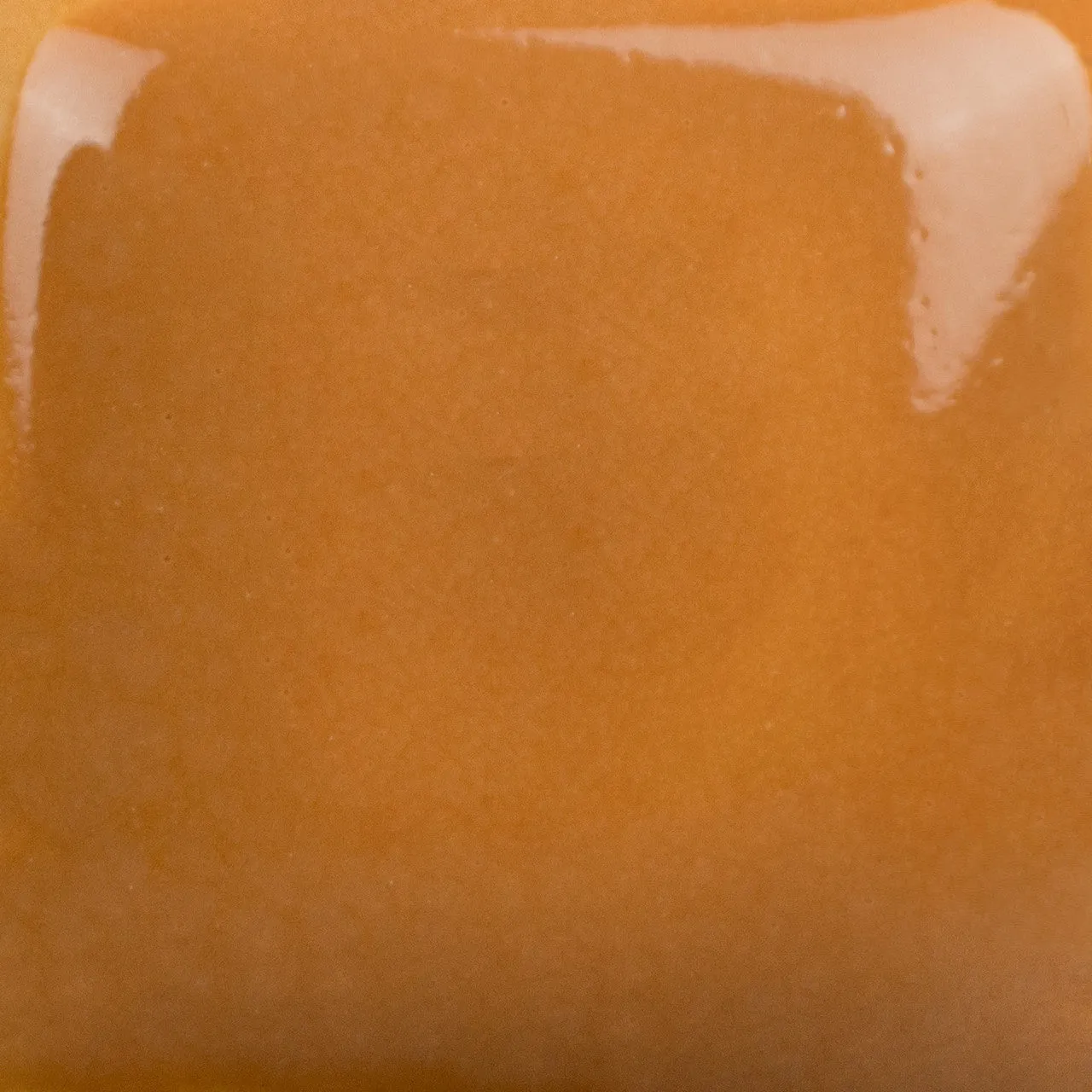 Crackerjack Brown