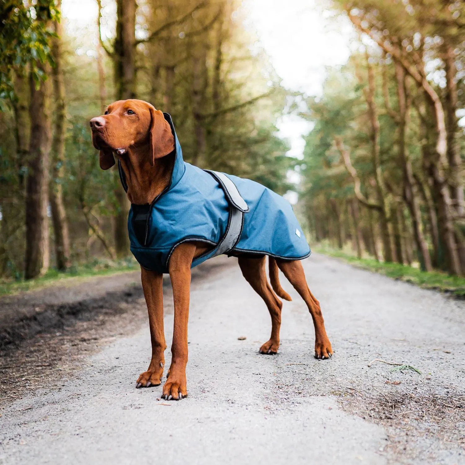 Danish Design Ultimate 2-In-1 Dog Coat