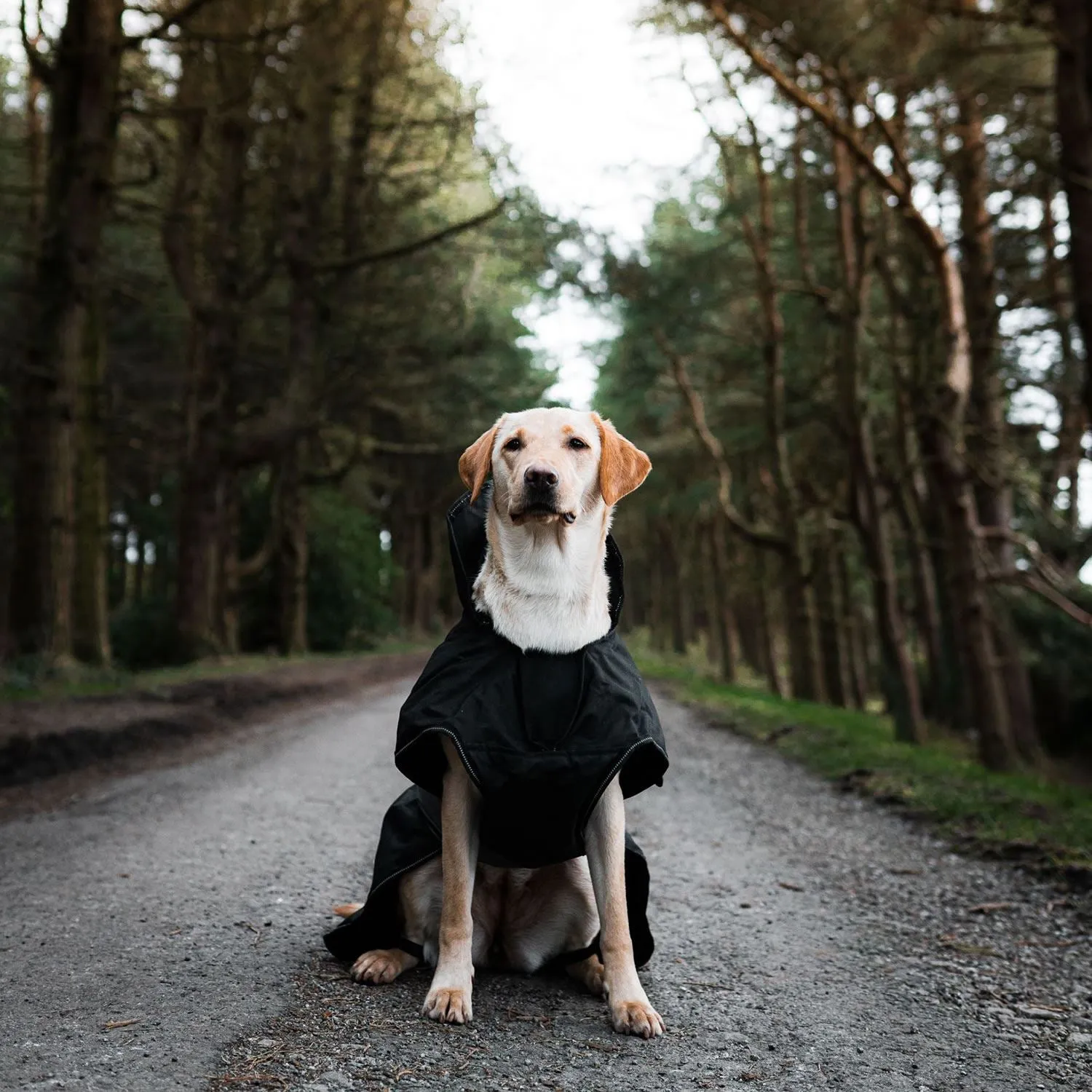 Danish Design Ultimate 2-In-1 Dog Coat