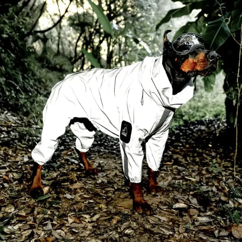 Dog Raincoat With Hood