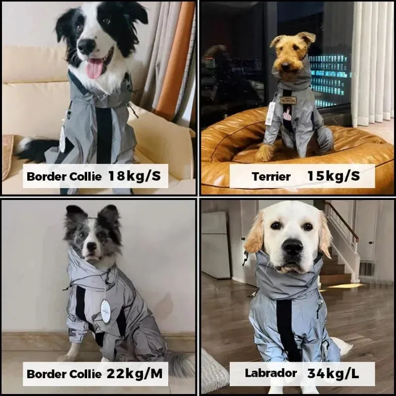 Dog Raincoat With Hood