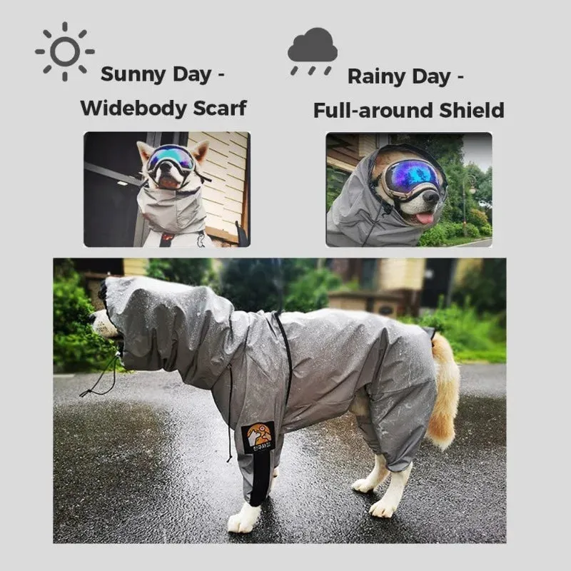 Dog Raincoat With Hood