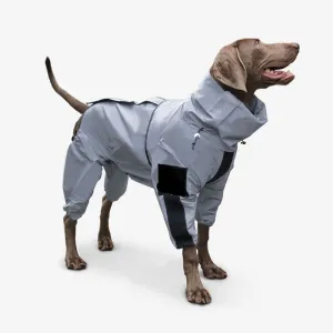 Dog Raincoat With Hood