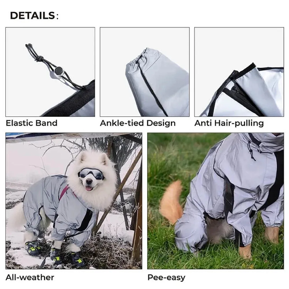 Dog Raincoat With Hood