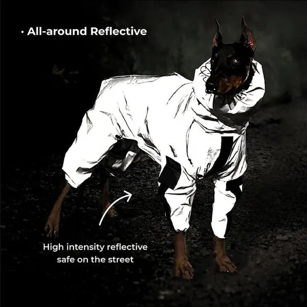 Dog Raincoat With Hood