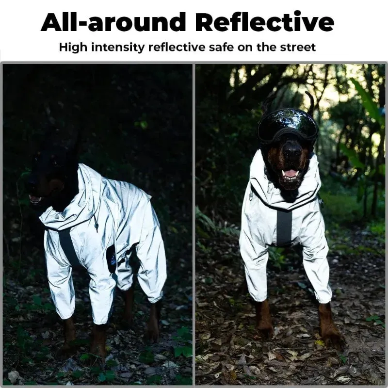 Dog Raincoat With Hood