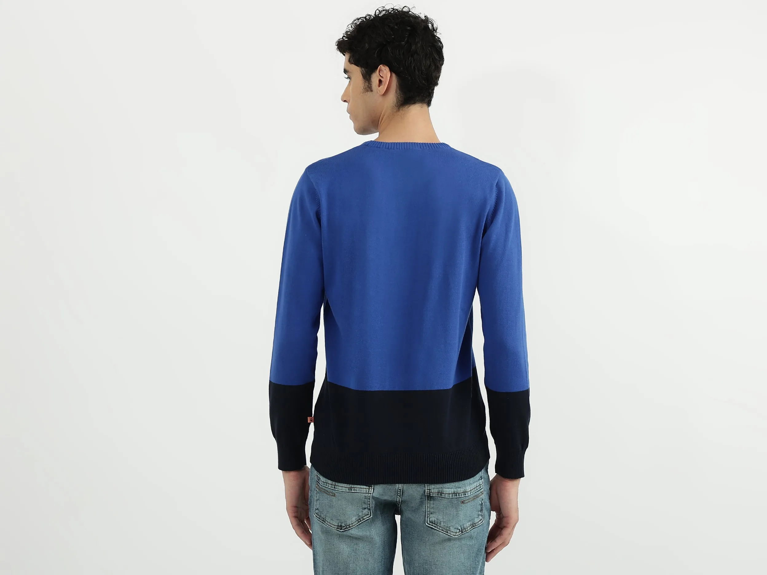Men Colorblock Round Neck Sweatshirt