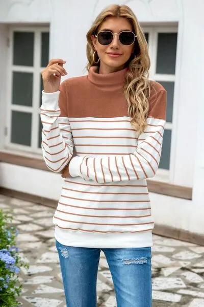 Ragan Striped Contrast Turtleneck Sweater