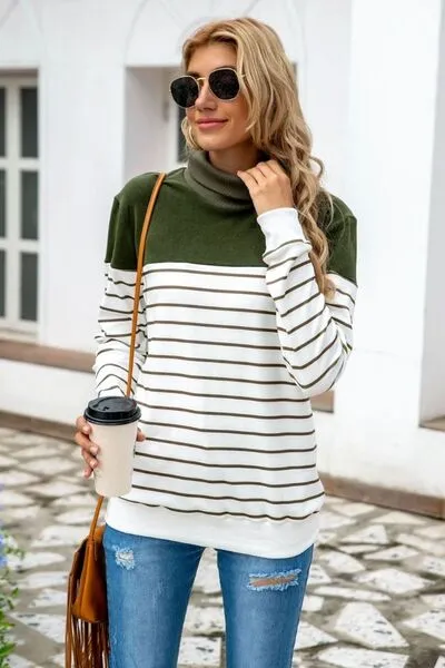 Ragan Striped Contrast Turtleneck Sweater