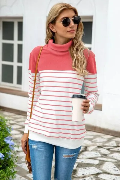Ragan Striped Contrast Turtleneck Sweater