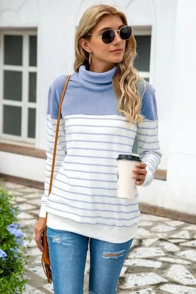 Ragan Striped Contrast Turtleneck Sweater