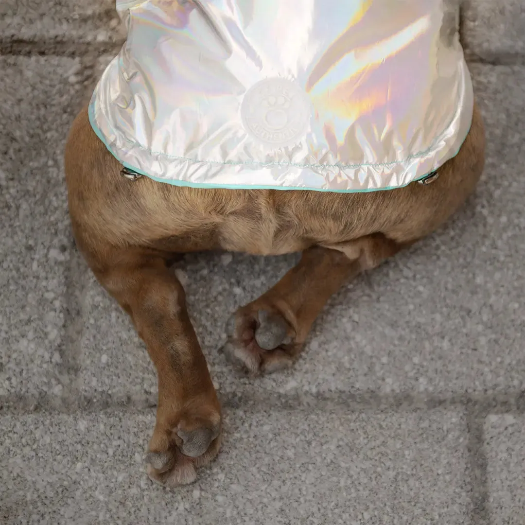 Reversible Dog Raincoat | Neon Aqua & Iridescent