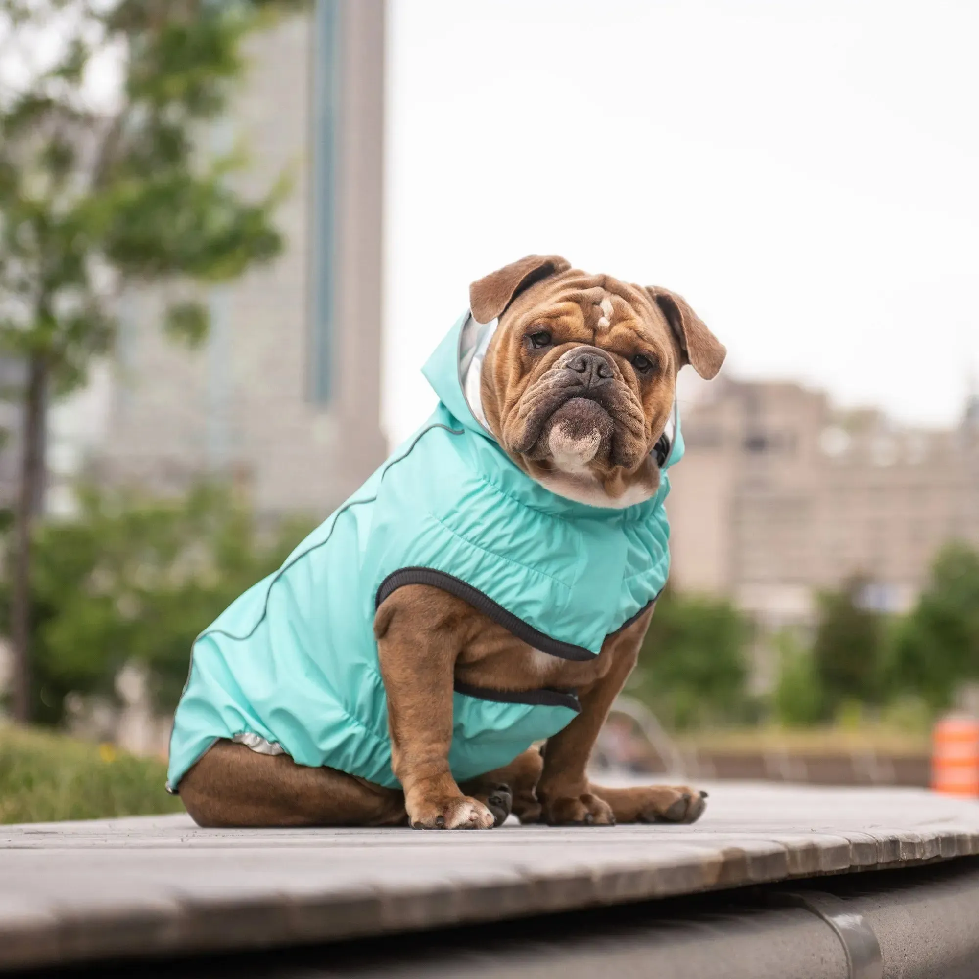 Reversible Dog Raincoat | Neon Aqua & Iridescent
