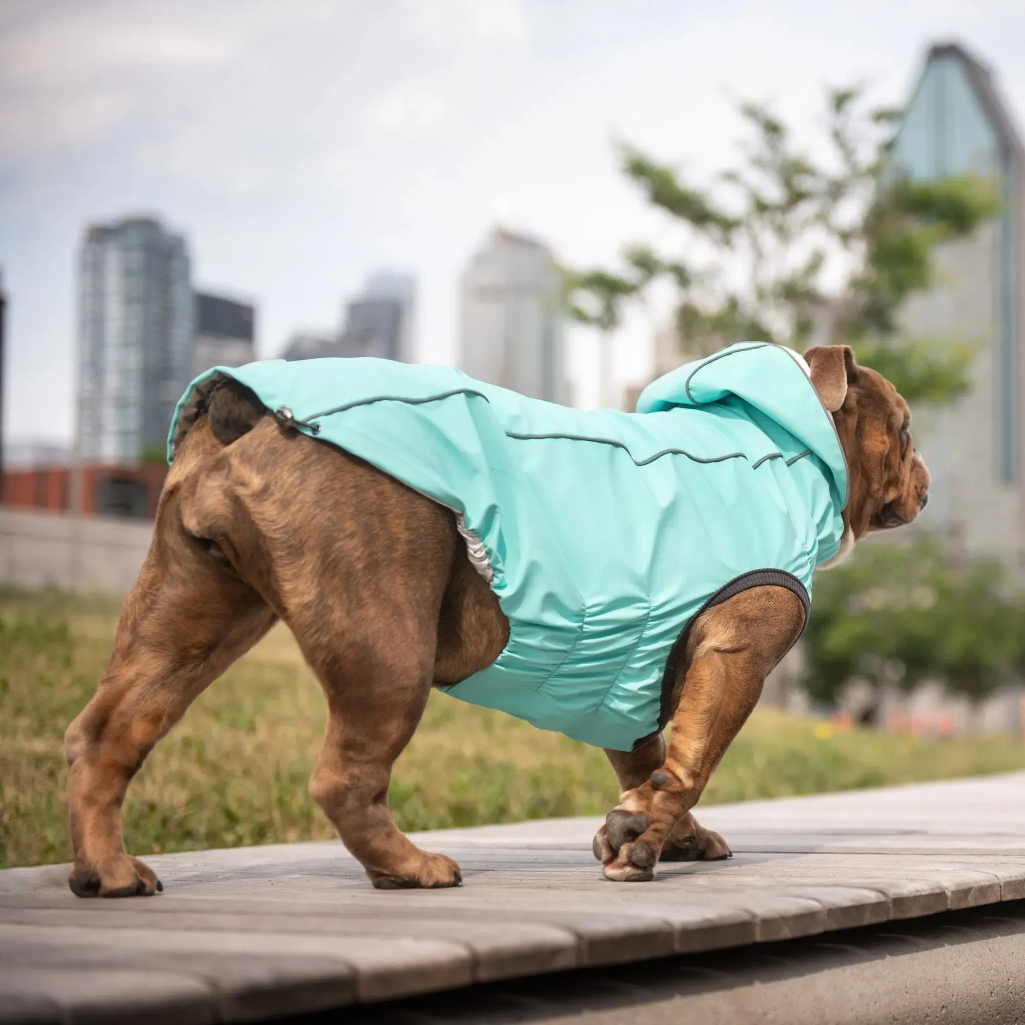 Reversible Dog Raincoat | Neon Aqua & Iridescent