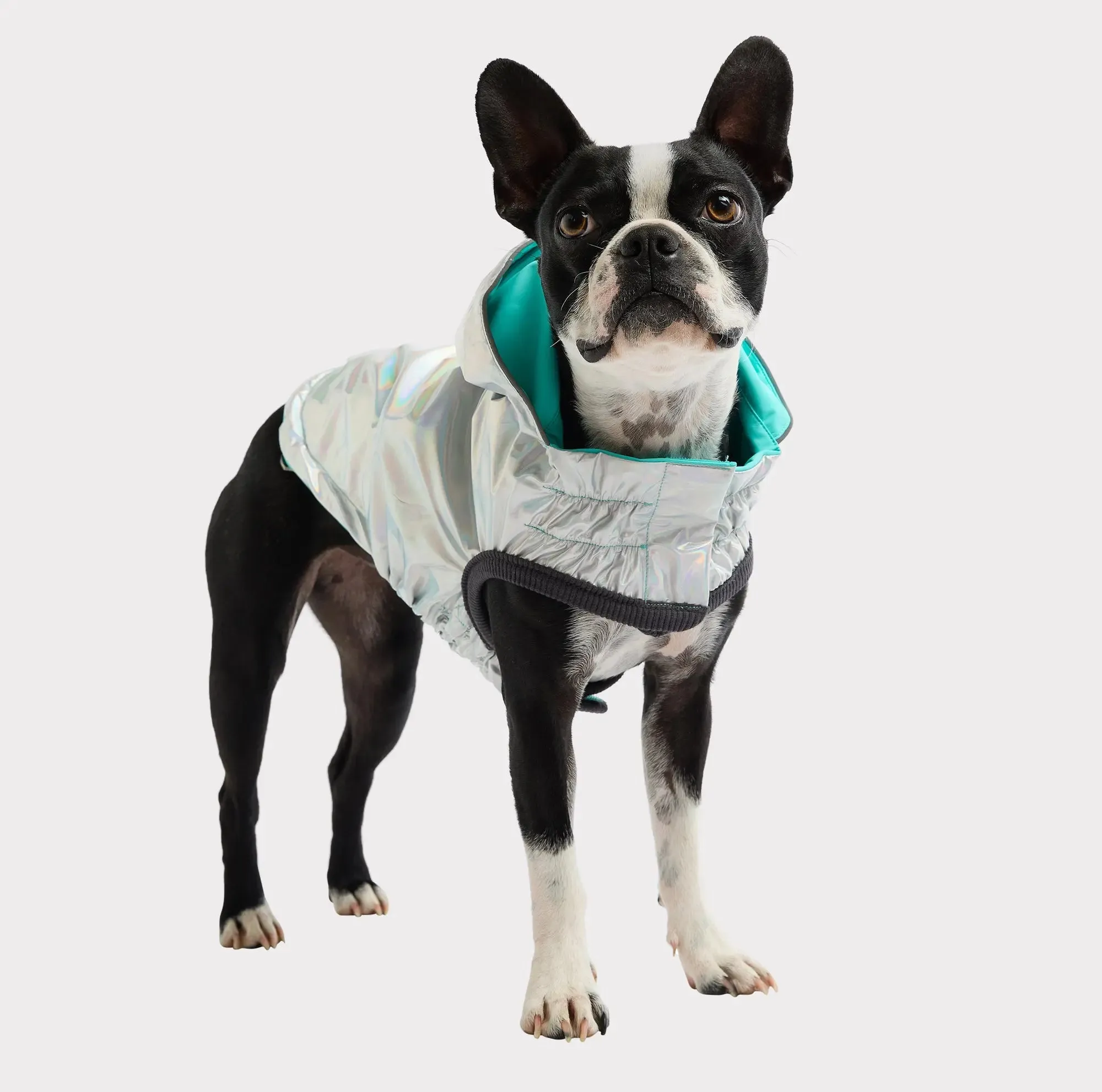 Reversible Dog Raincoat | Neon Aqua & Iridescent