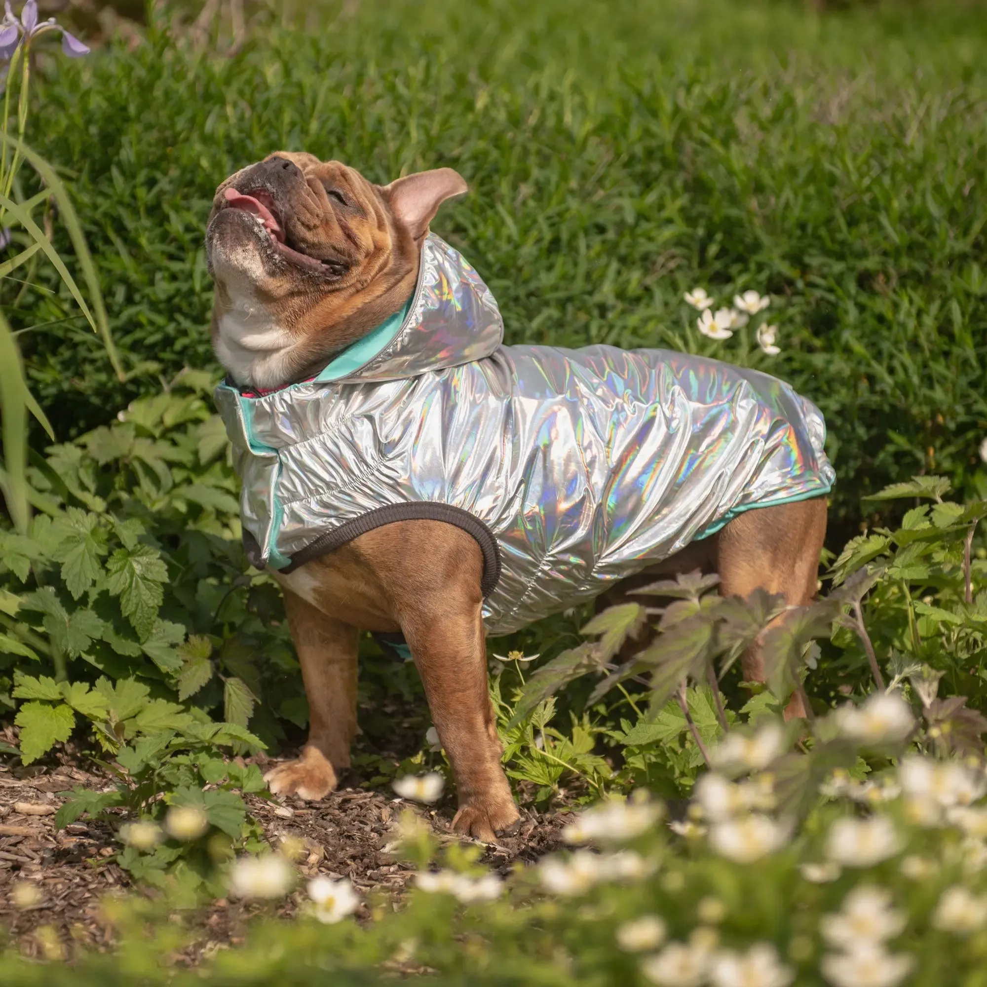 Reversible Dog Raincoat | Neon Aqua & Iridescent