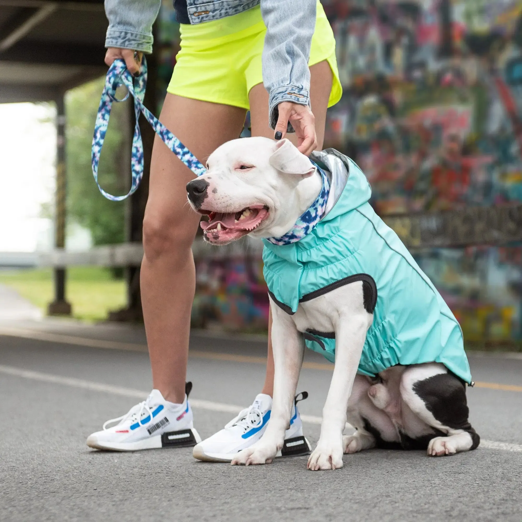 Reversible Dog Raincoat | Neon Aqua & Iridescent