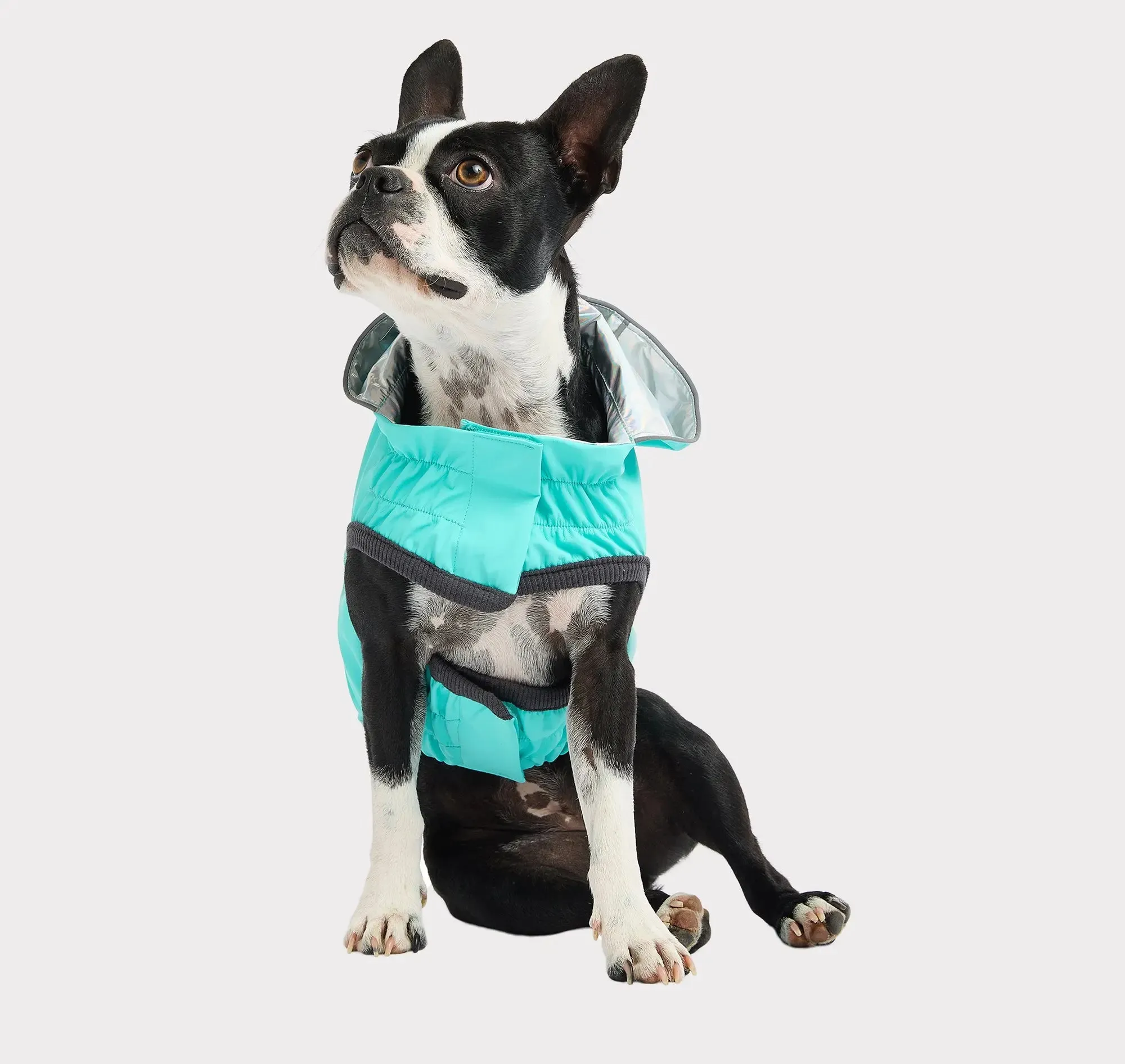 Reversible Dog Raincoat | Neon Aqua & Iridescent