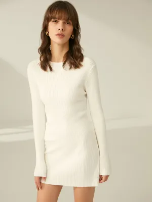 Ribbed Crewneck Sweater Dress