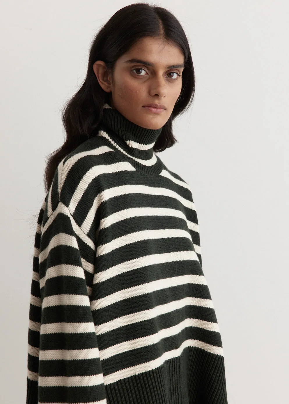 Signature Stripe Turtleneck Sweater