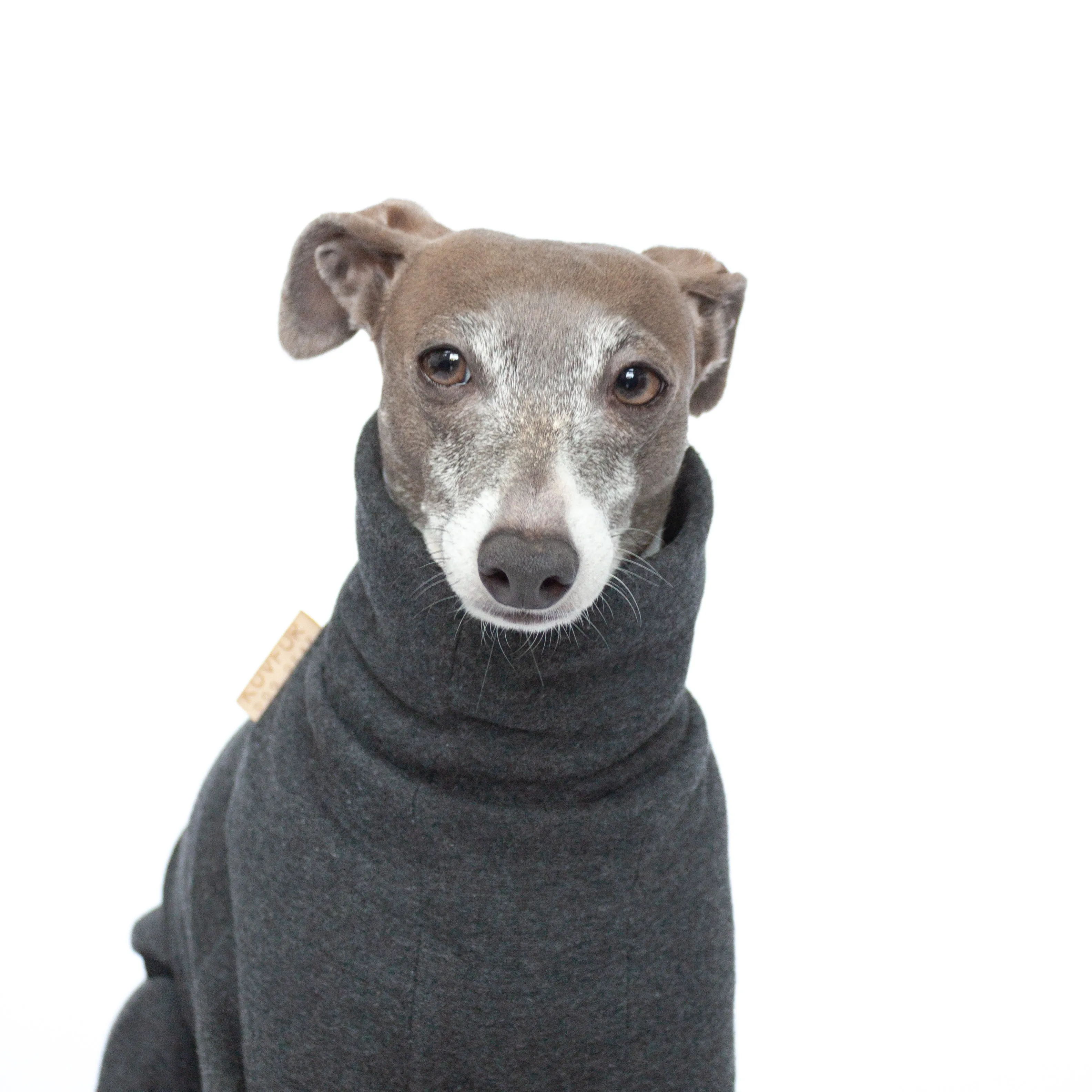 Tracksuit Dog Onesie - Dark Grey