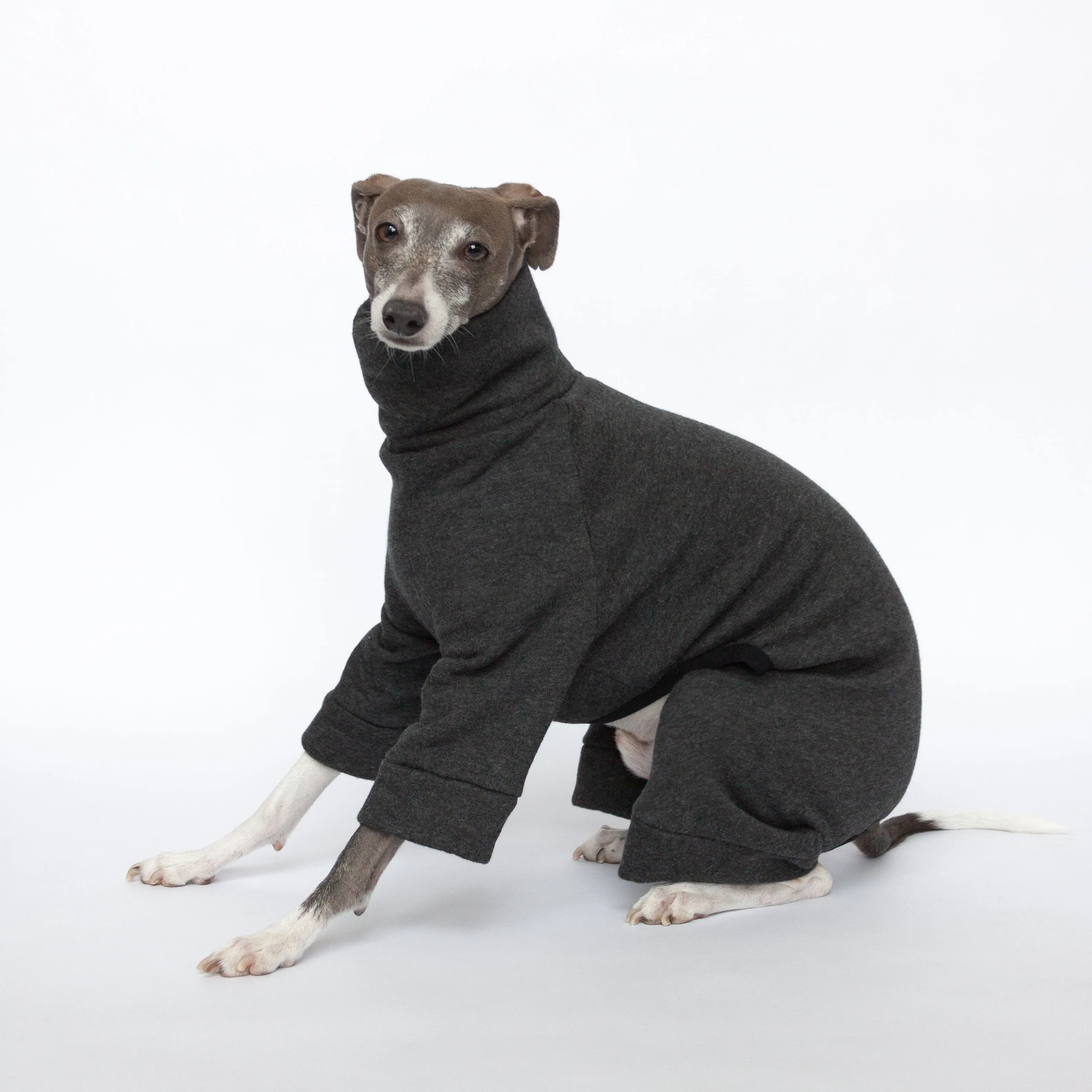 Tracksuit Dog Onesie - Dark Grey