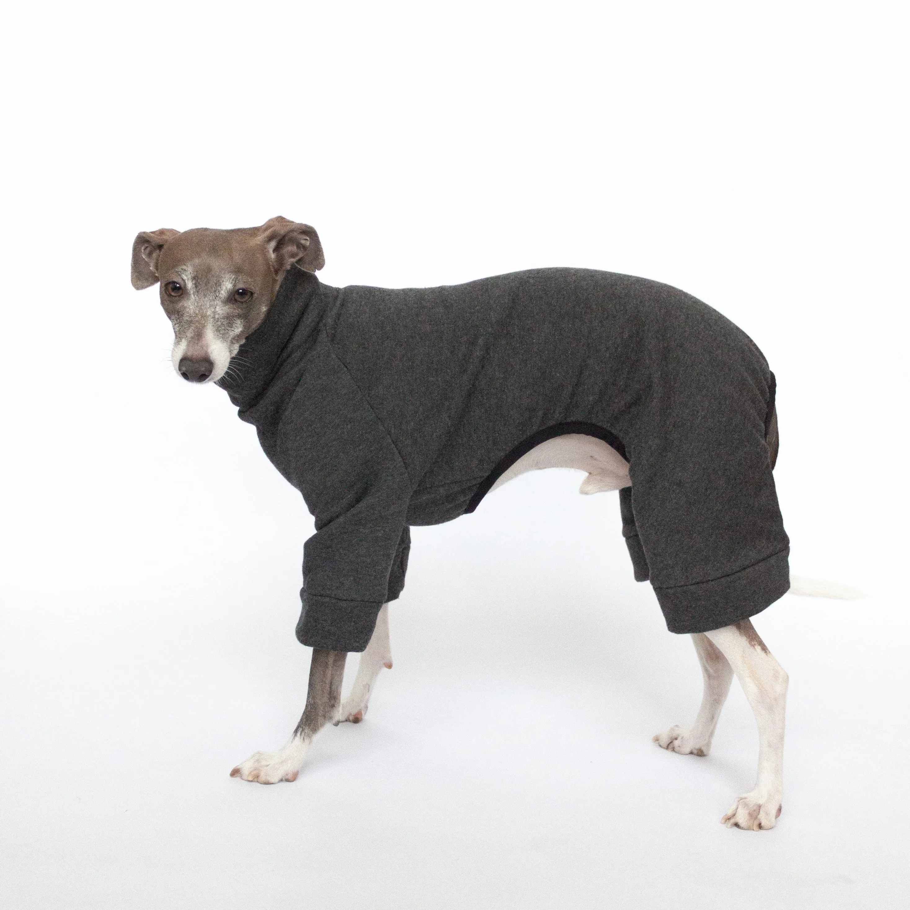 Tracksuit Dog Onesie - Dark Grey