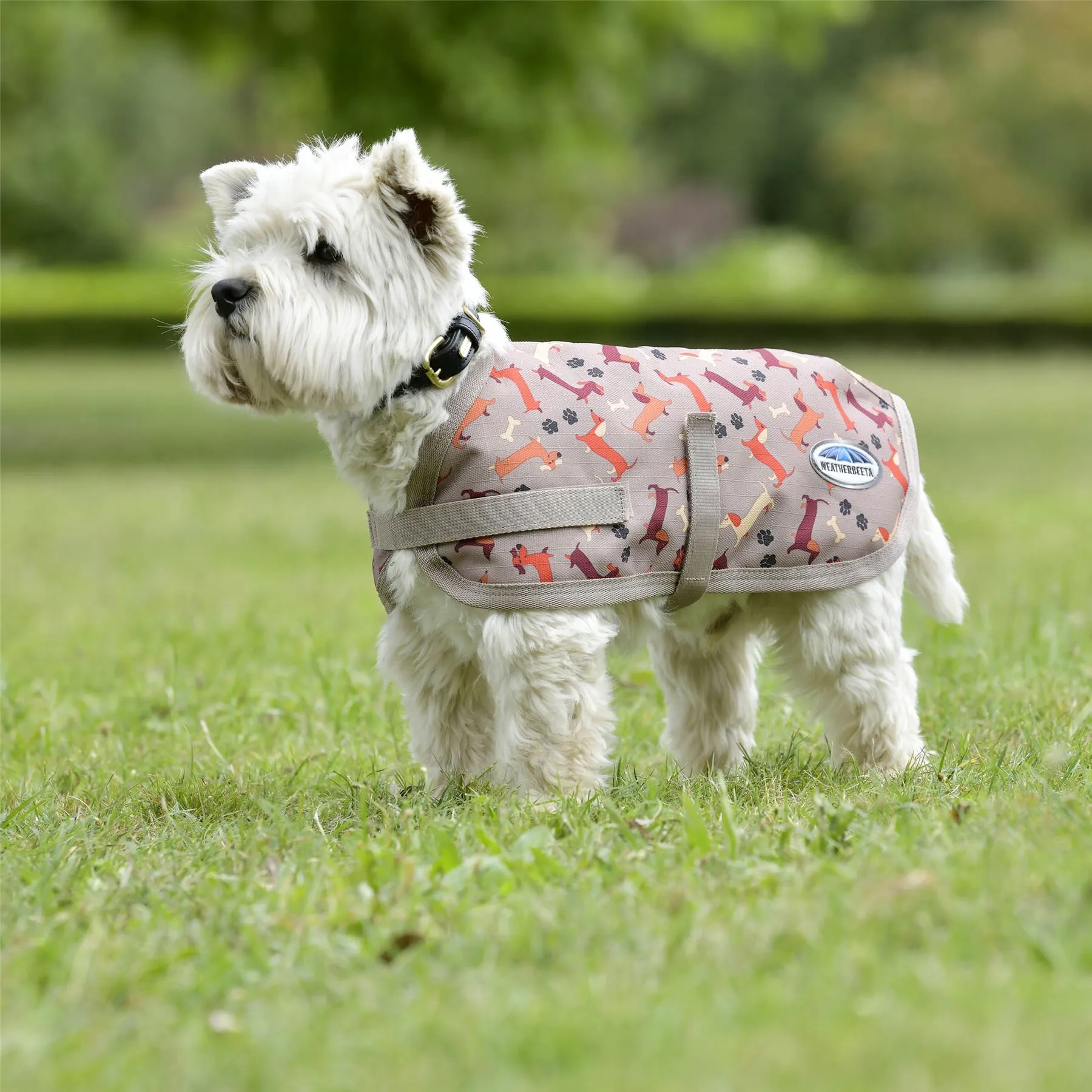 Weatherbeeta Comfitec Essential Dog Coat