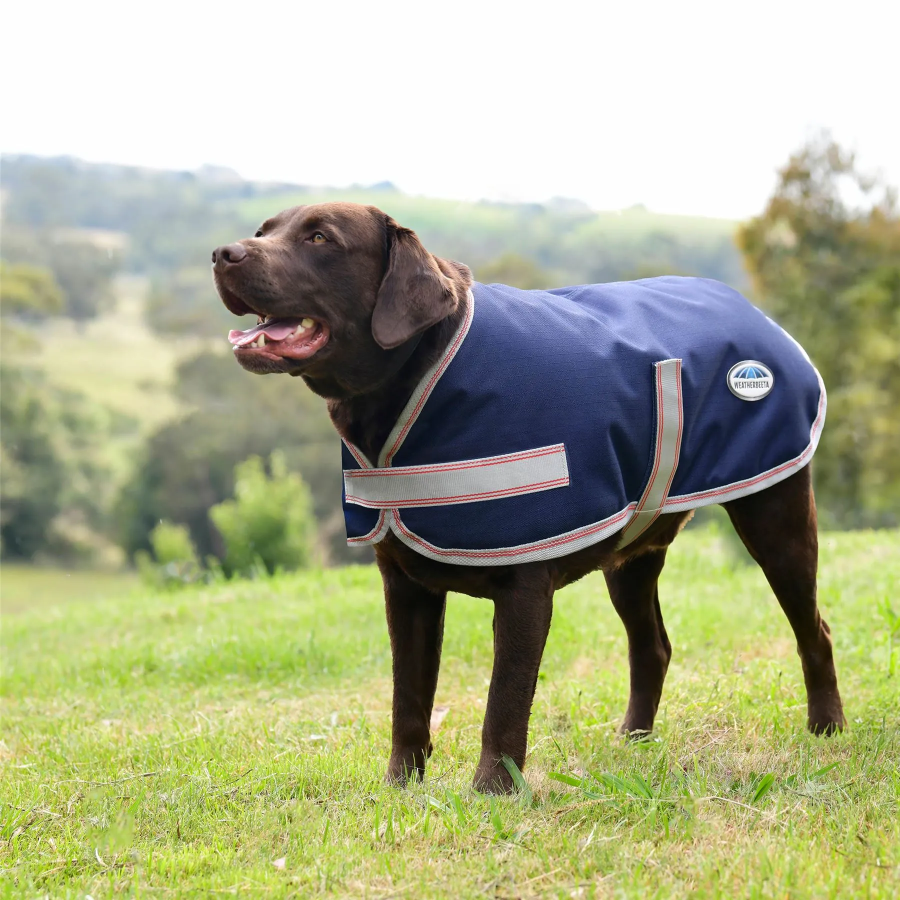 Weatherbeeta Comfitec Essential Dog Coat