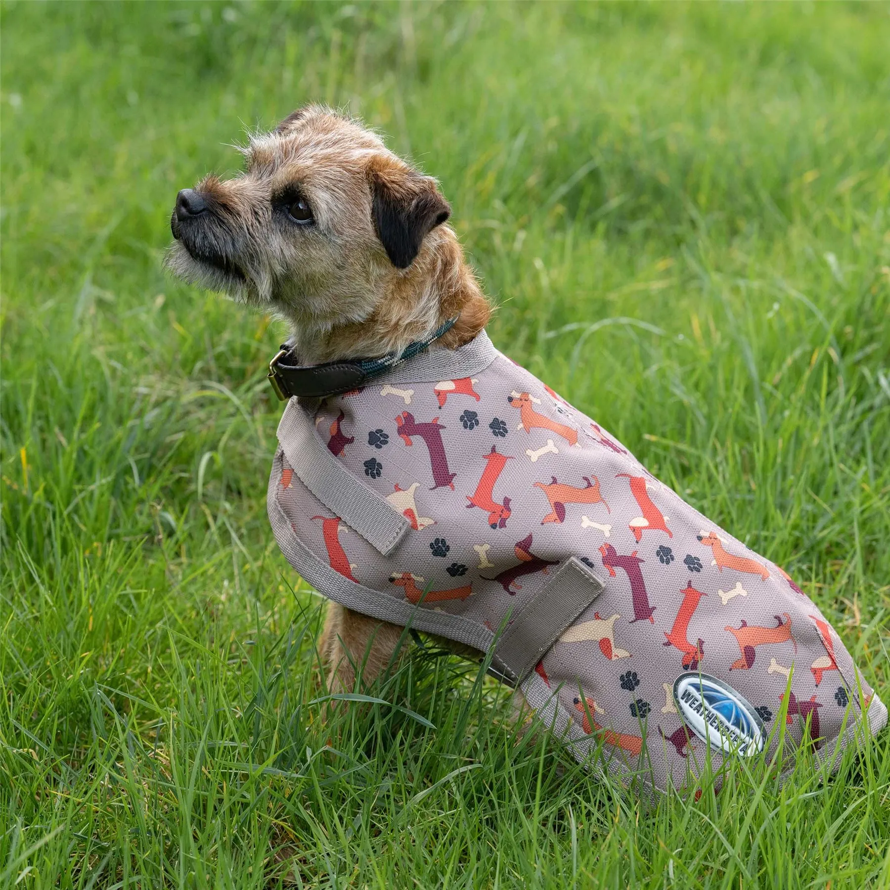 Weatherbeeta Comfitec Essential Dog Coat