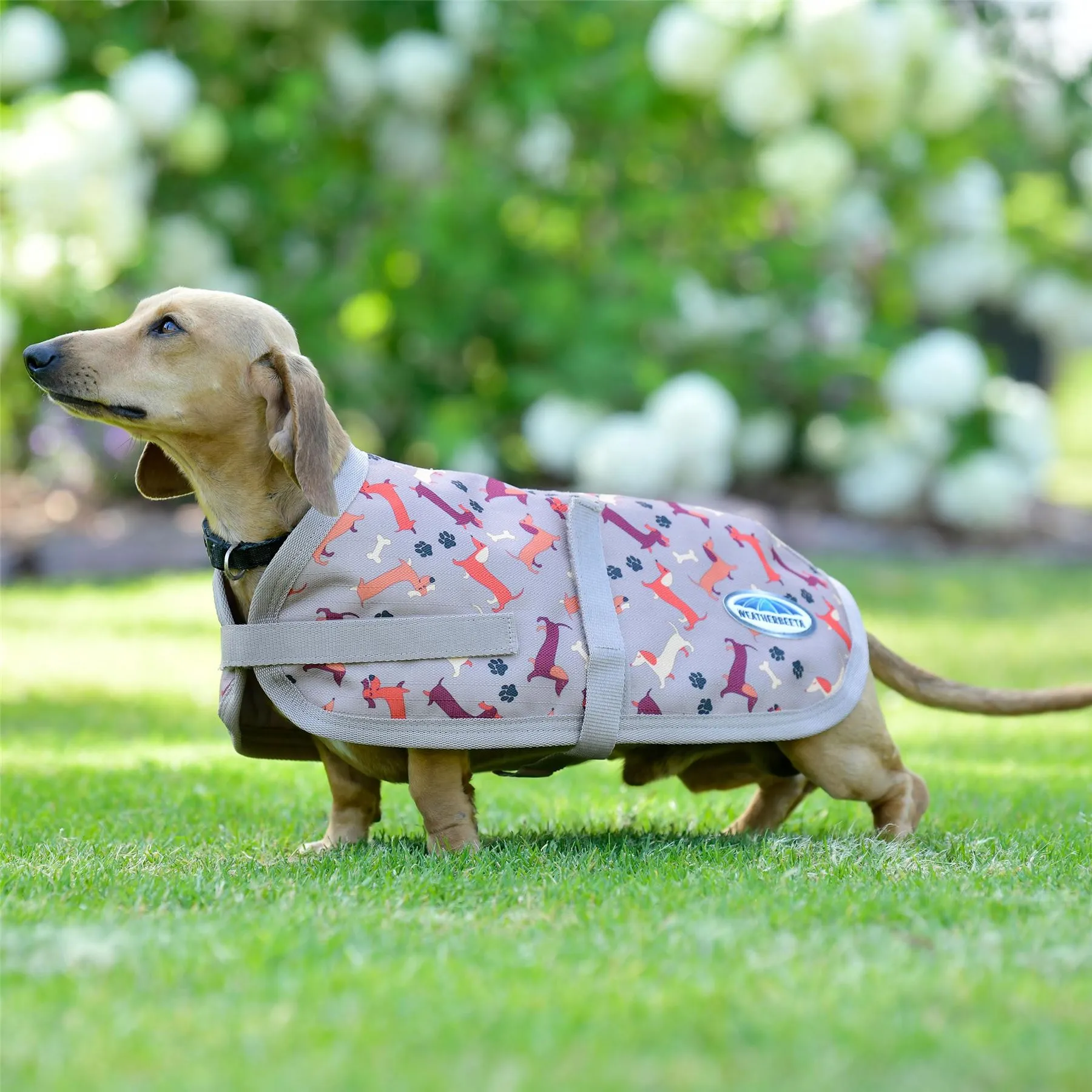 Weatherbeeta Comfitec Essential Dog Coat
