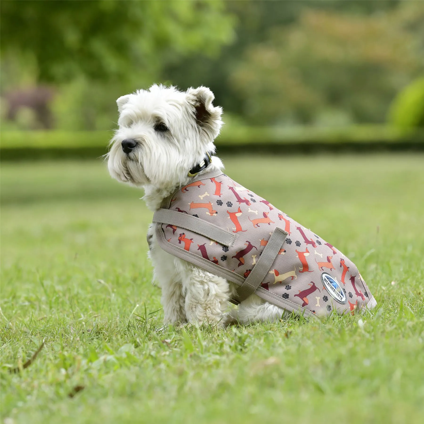 Weatherbeeta Comfitec Essential Dog Coat