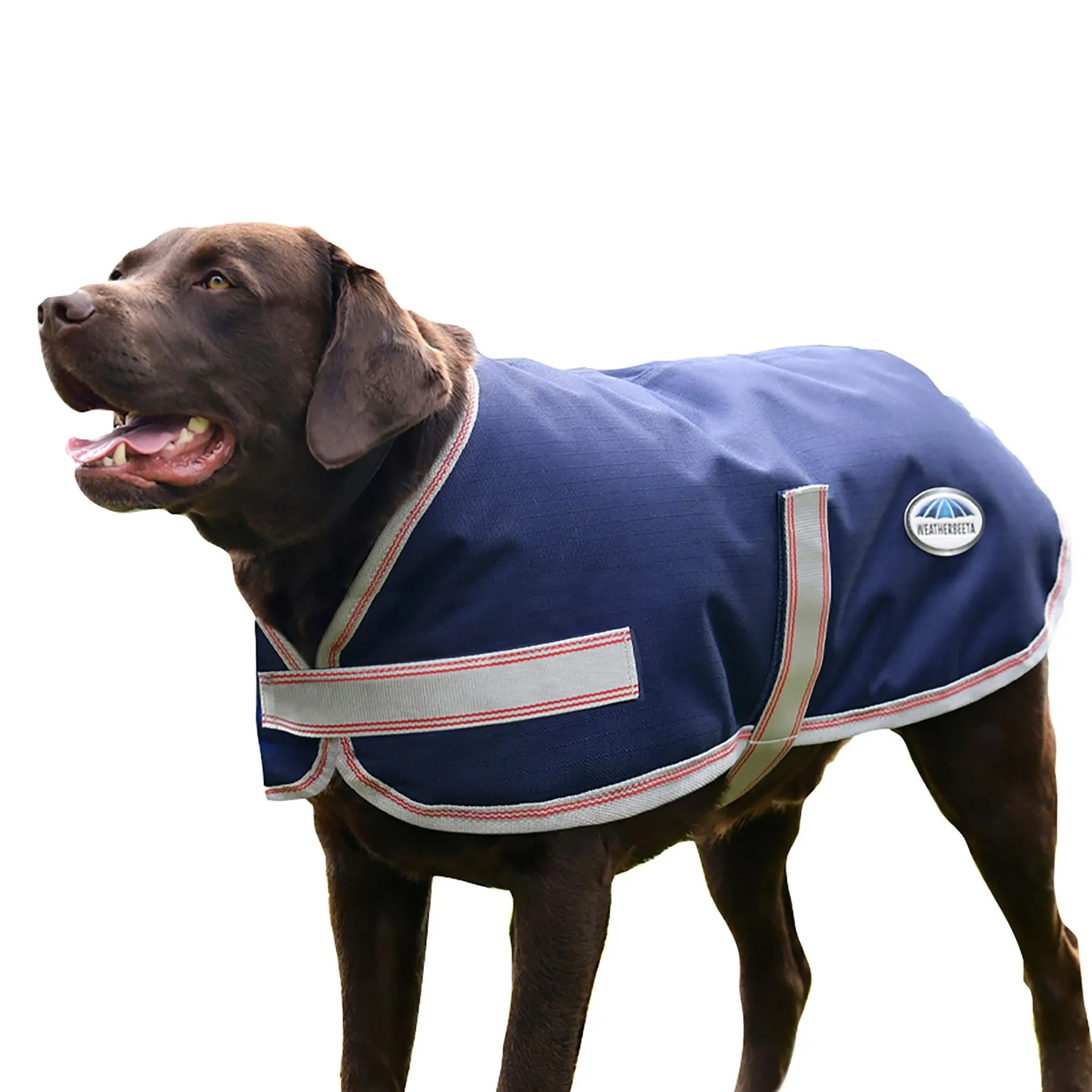 Weatherbeeta Comfitec Essential Dog Coat