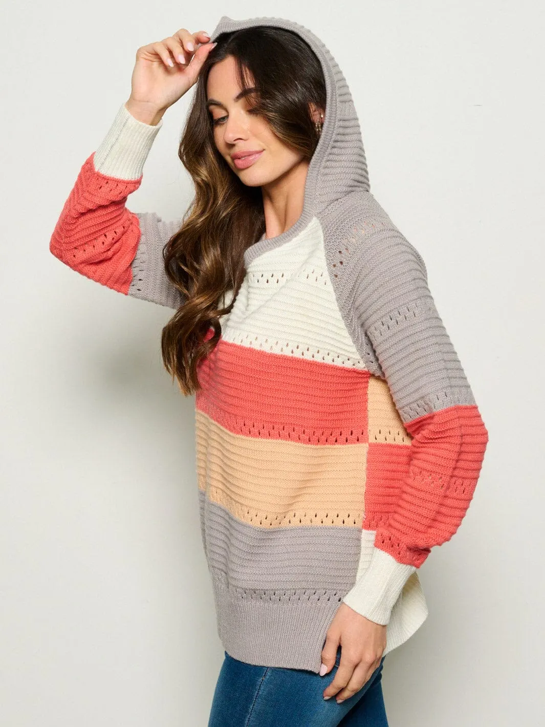 WOMEN'S LONG SLEEVE V-NECK HOODED COLORBLOCK ANIMAL PRINT SWEATER